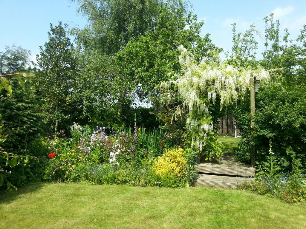 Field View B&B Eastrington Exterior photo